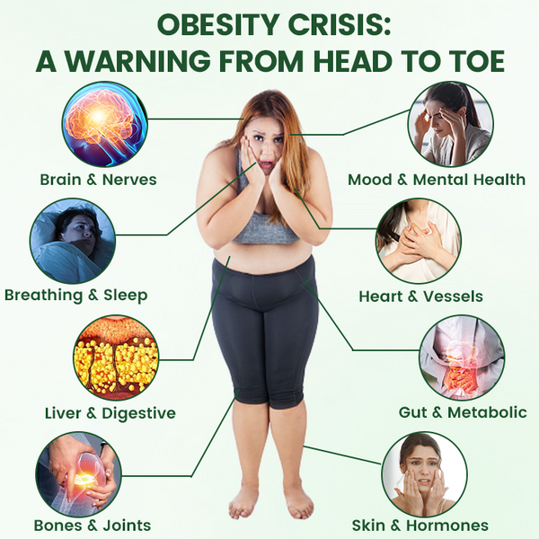 Nano Metabolic Balance Patch System